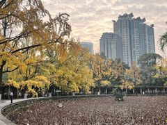 -四川大学(华西校区)