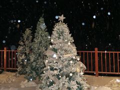 -洛阳白云山景区