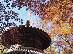 -颐和园