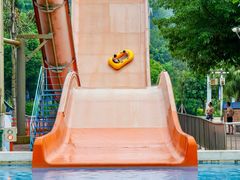 -重庆海昌加勒比海水世界