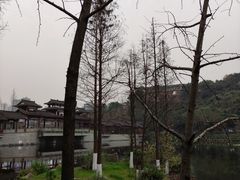 -重庆彩云湖湿地公园