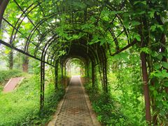 -国家植物园南园