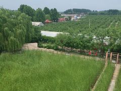 -河北村民俗体验园
