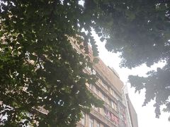 -贺庄·活鱼馆(珠吉路店)