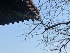 -红螺寺