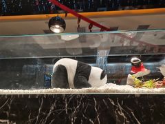 -红辣椒·川菜·火锅(大洋中心店)