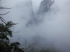 -鹿院坪生态旅游景区