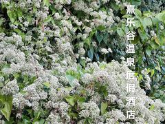 -清远熹乐谷温泉度假酒店