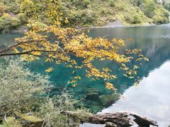 -叠溪松坪沟景区