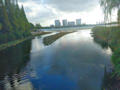 -暨阳湖生态园