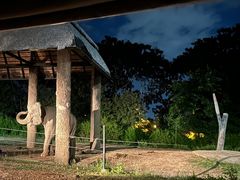 -清迈夜间动物园