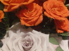 -半秋山西餐厅(宜昌大洋店)