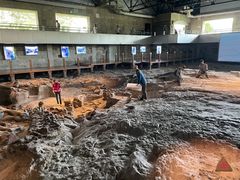 -自贡恐龙博物馆