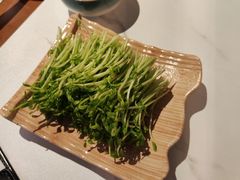 -菌之家·专业纯野生菌火锅·特色炒菌