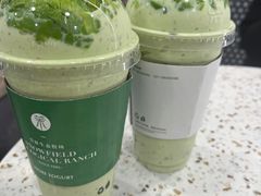 -茉酸奶(春熙路店)