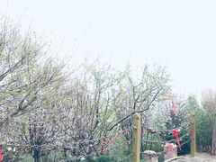 -南翠屏公园
