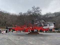 -句容茅山景区