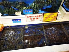 水产区-益利大酒楼(井岸店)