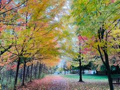 -长白岛森林公园