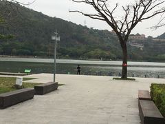 -顺峰山公园