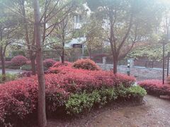 -上海崇明金茂凯悦酒店