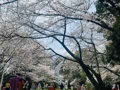 -杭州少年儿童公园