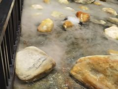 -野马国际·大汉食府