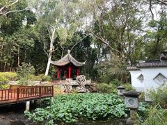 -深圳国际园林花卉博览园