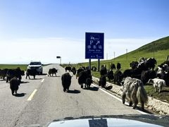 -青海湖国家重点风景名胜区