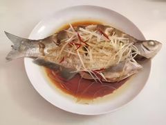 -天鹅到家·保姆月嫂育儿嫂(朝阳店)