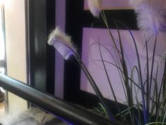 -苏乡兰亭·新派淮扬菜(吾悦广场店)