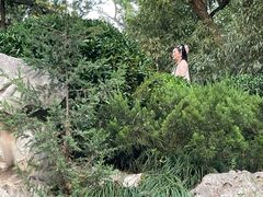 -大雁塔北广场音乐喷泉