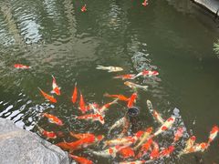 -新荣记(西溪湿地店)