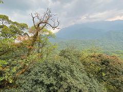 -青城山