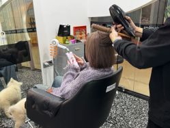 -3am hair salon烫发染发接发