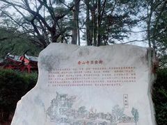 -香山公园
