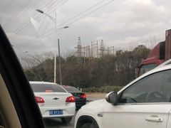 -江杨农产品批发市场