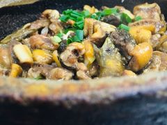 -红星光发煲仔饭(大石街店)