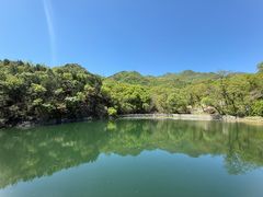 -阳台山自然风景区
