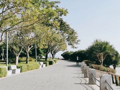 -深圳湾公园(南山区)