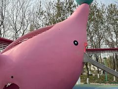 -张店儿童公园