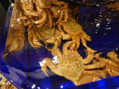 -蟹道乐(道顿堀本店)