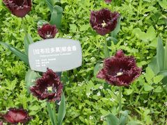 -香山公园