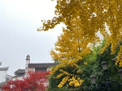 -黄兴南路步行商业街