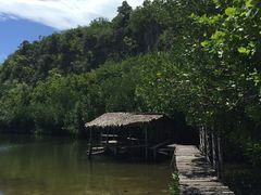 -苏米龙岛