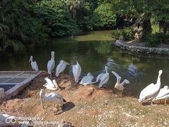 -深圳野生动物园
