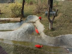 -武汉动物园