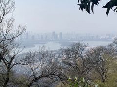 -紫金山山顶公园