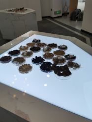 -采之汲·云南白药集团