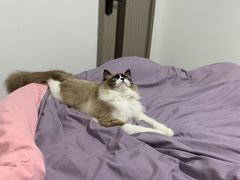 -宠颐生猫科·内科皮肤科(西平世纪城店)